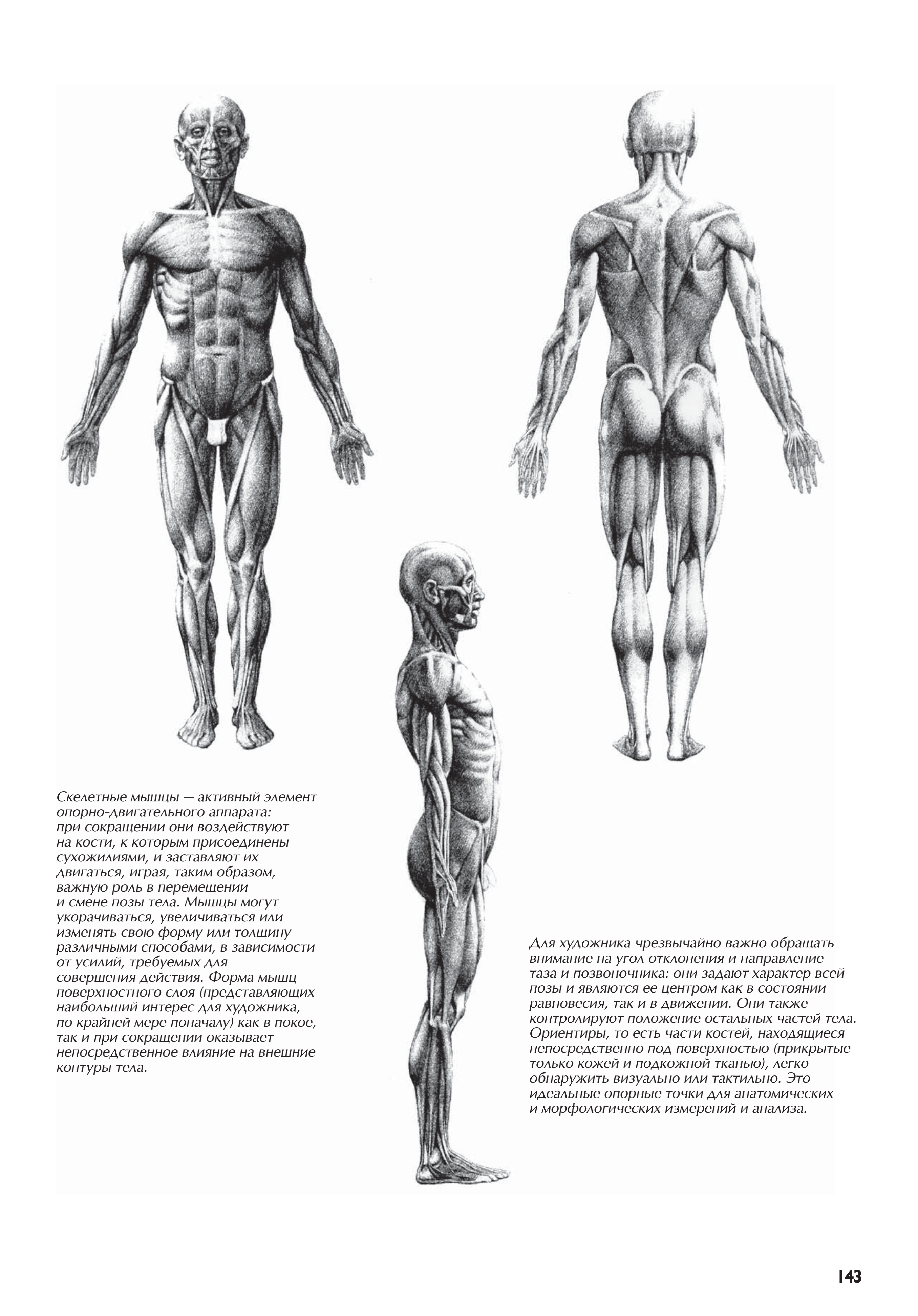 آموزش نقاشی طراحی سیاه قلم شهرری کتاب
